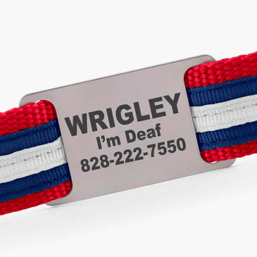 Personalized name plate on leash